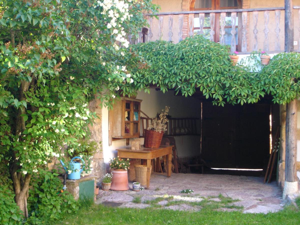 El Canto del Gallo - Housity