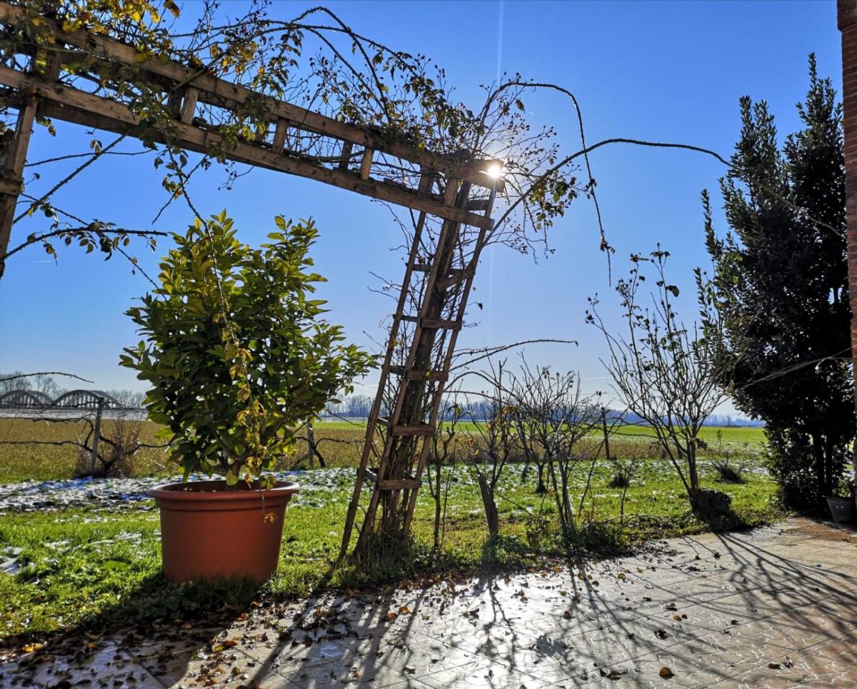 B&B DE CAROL - Housity