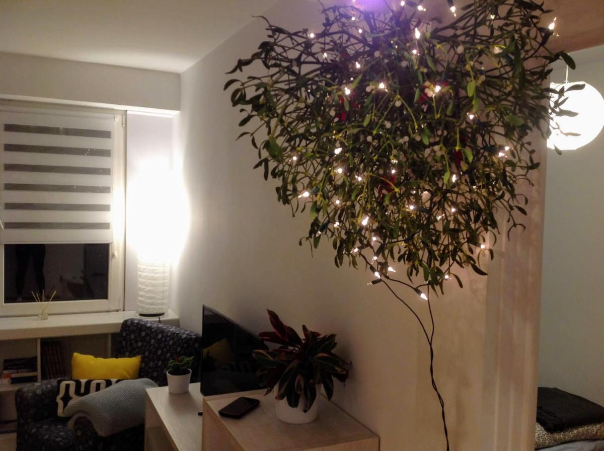 Apartament UŚMIECH - Housity