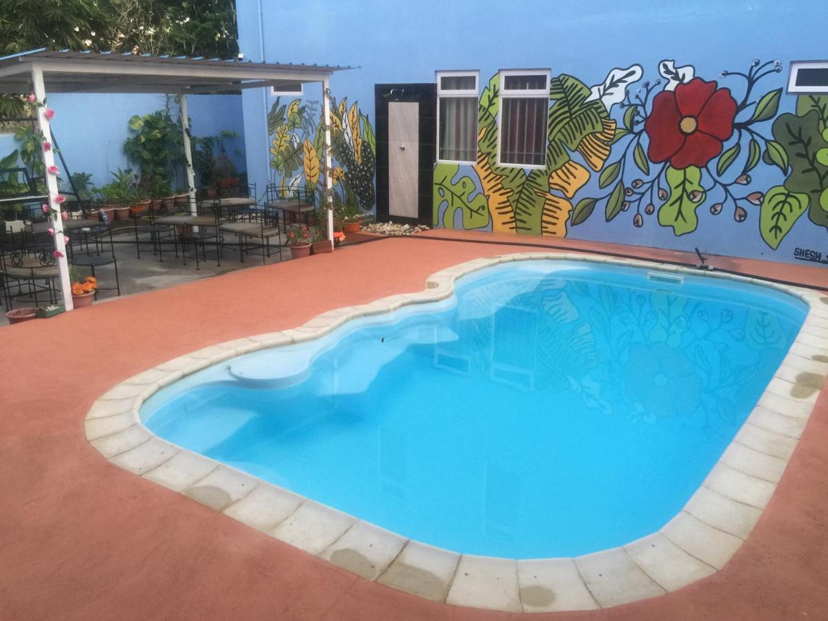 Bob Apartments - Housity