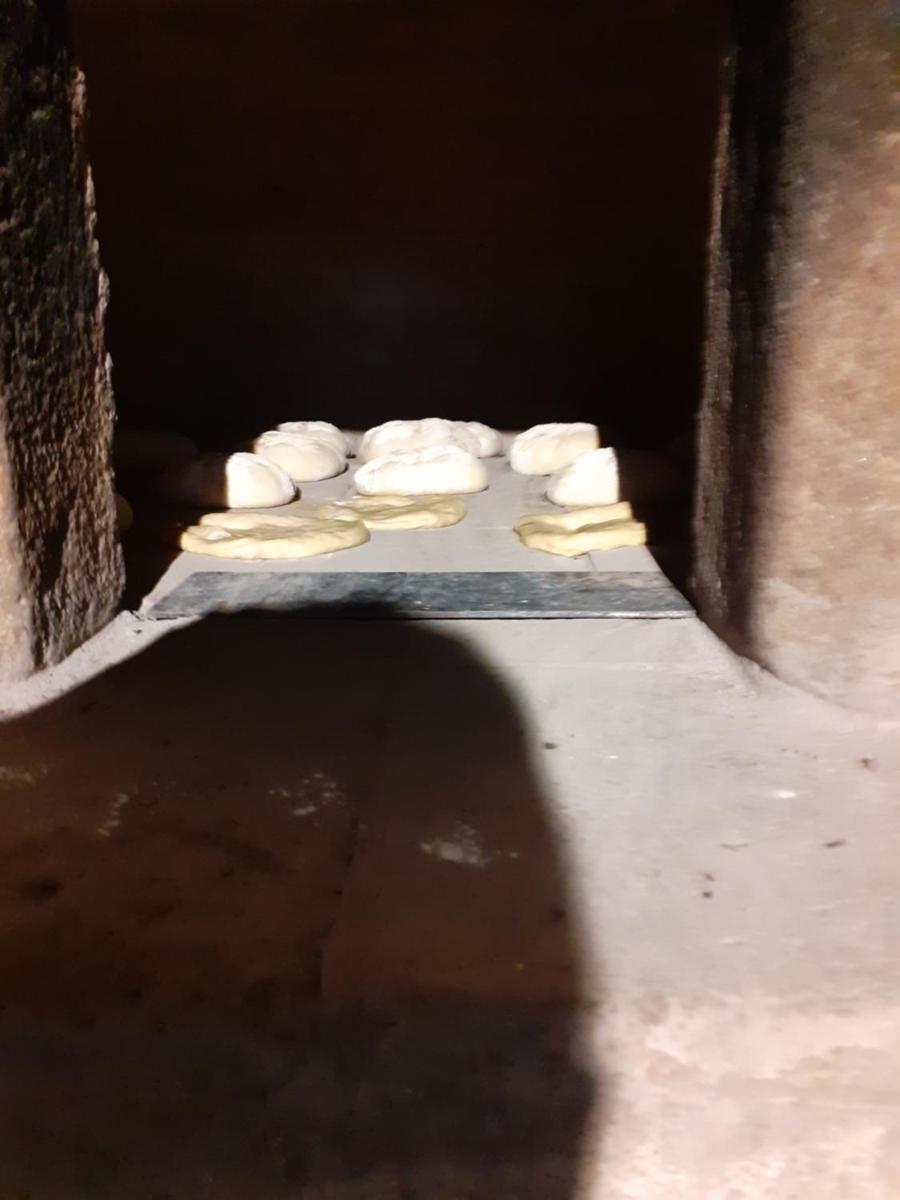 Aromas dos Salgueiros - Housity