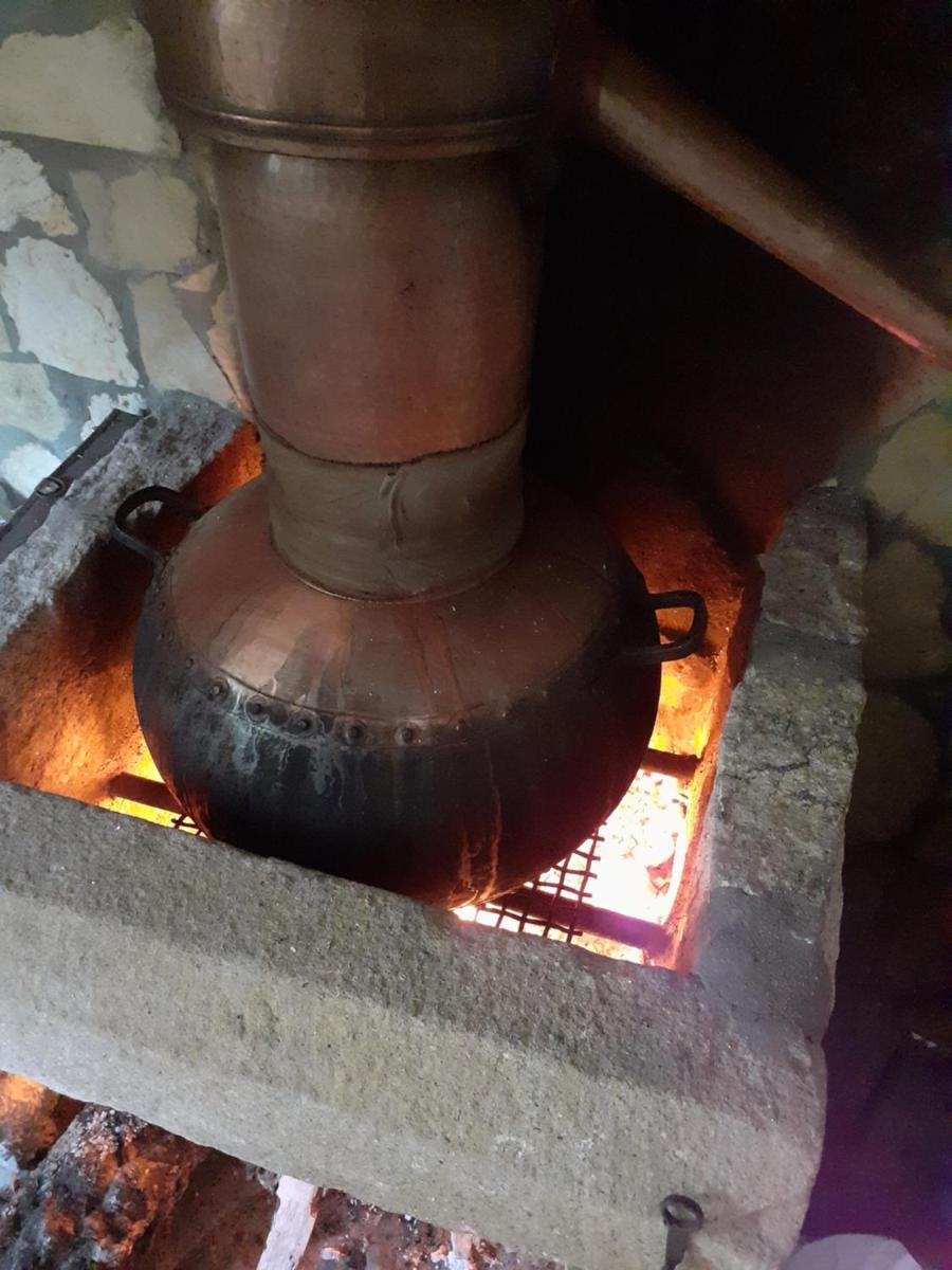 Aromas dos Salgueiros - Housity