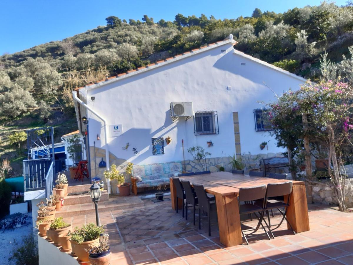 Finca Floretta - Housity