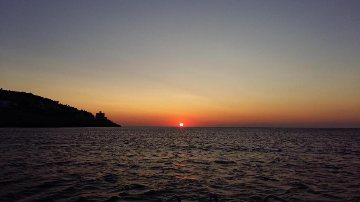 Azienda Agrituristica B&B La Torre - Housity