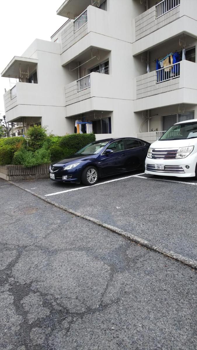 Cherry Blossom Koseicho - Housity