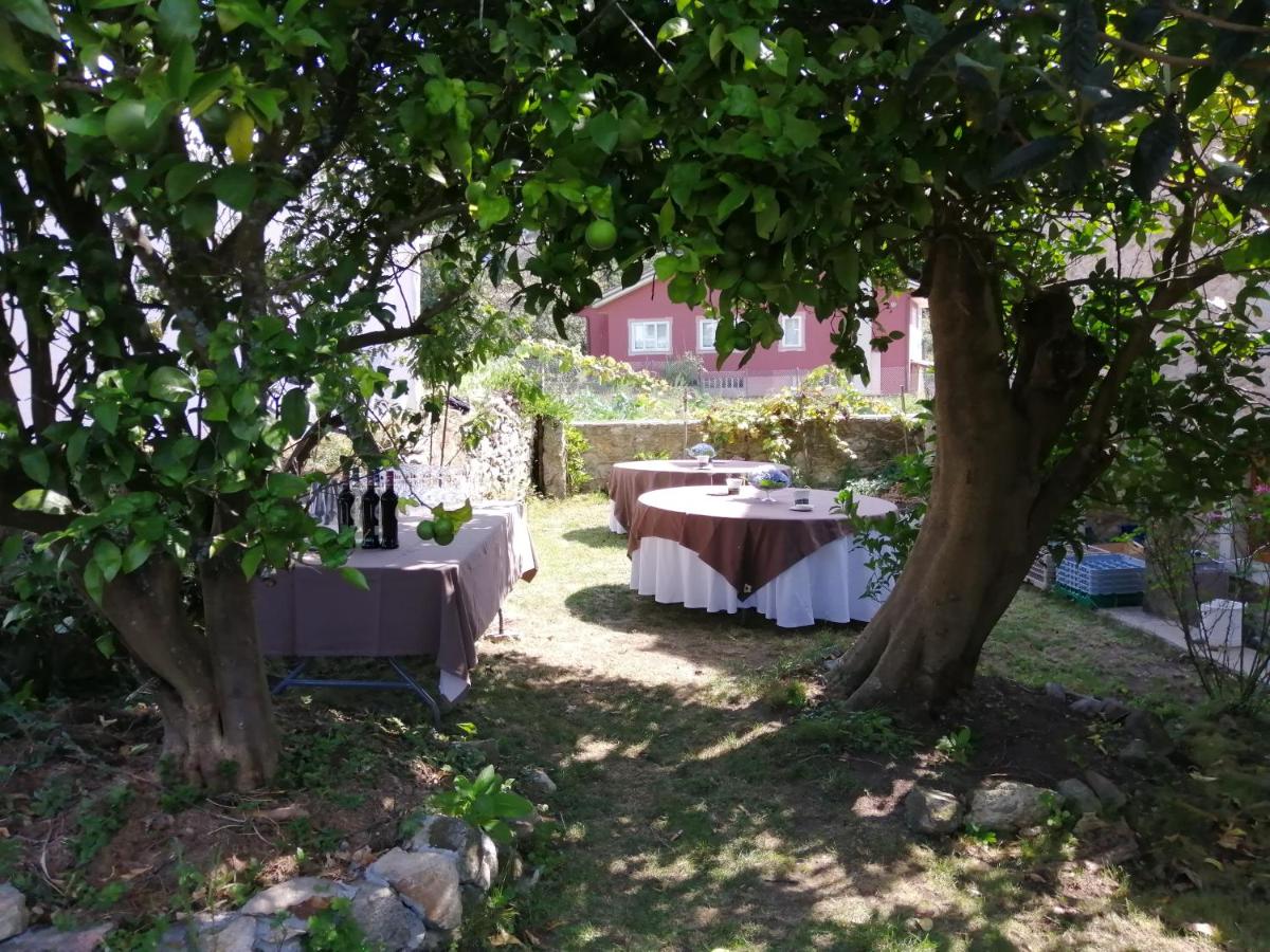 O Cruceiro - Housity