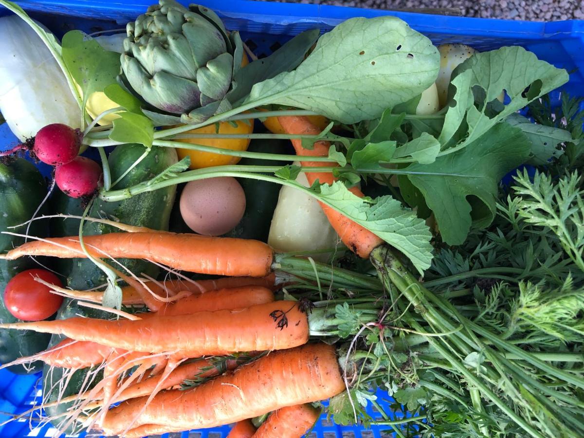 Lidhem B&B and Holiday apartments - Housity