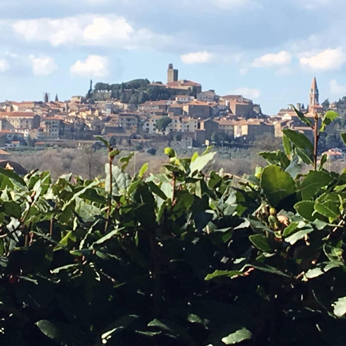 Borgo Santa Lucia, Casa Legnaia - Housity