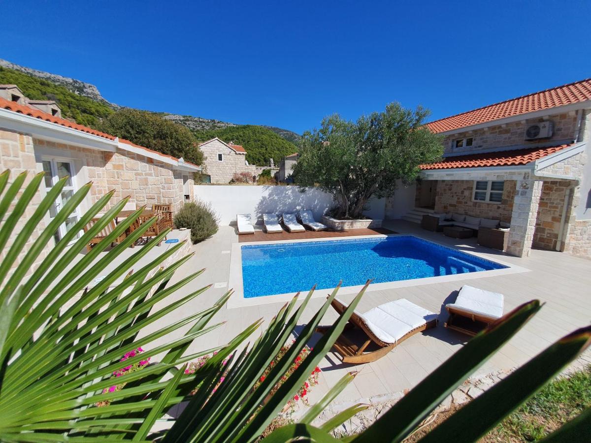 Apartments Lolita - Housity