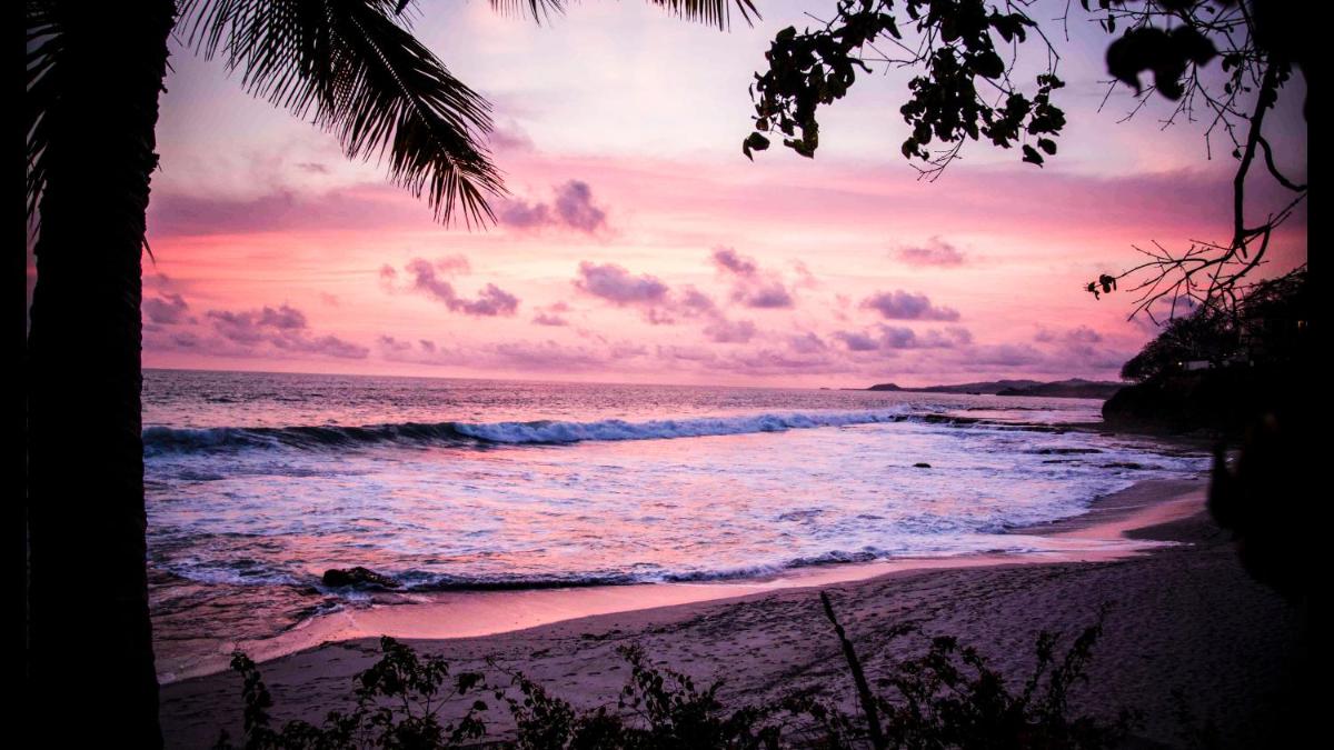 RAJATHEERAM BEACH HOMESTAY & BACkWATER CRUISE Alleppey - Housity