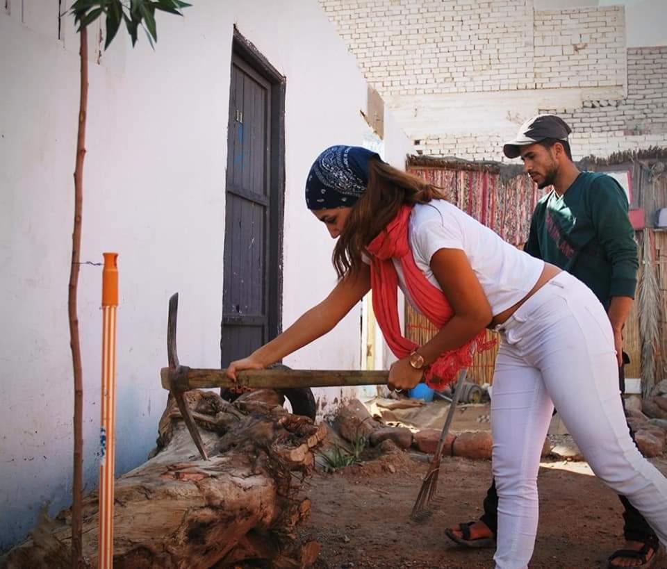 Nautilus Capsules - Housity