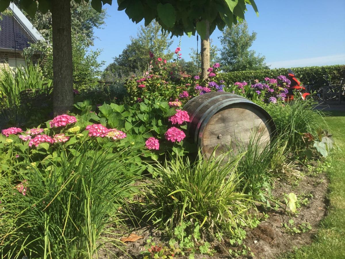 B&B Zonnedauw - Housity