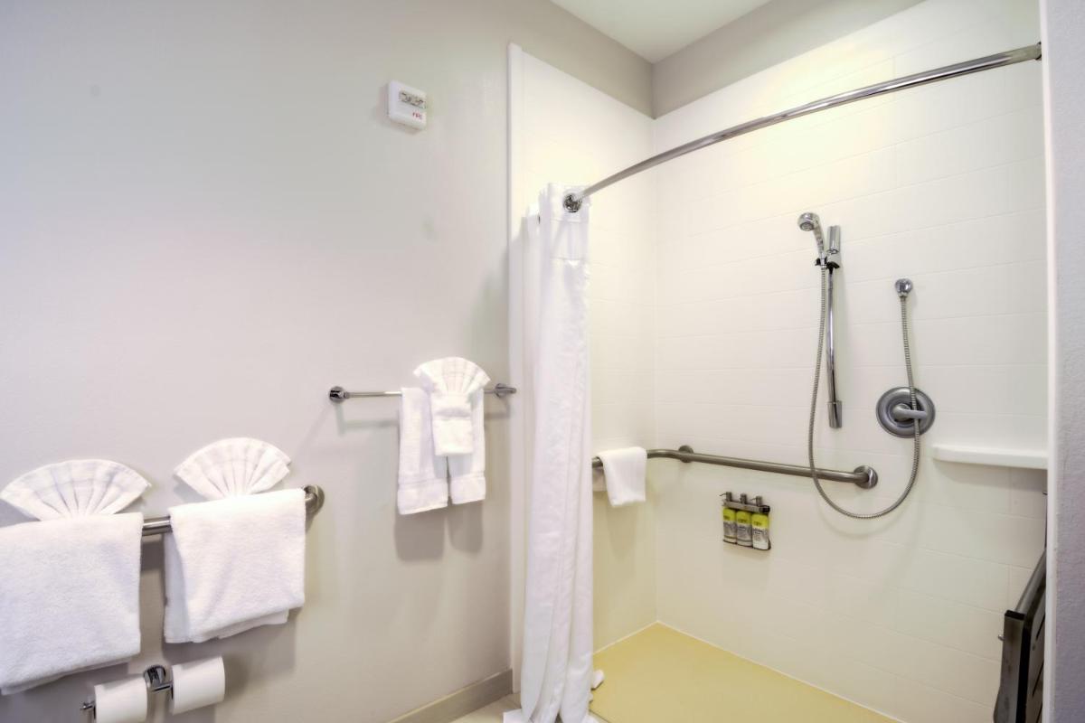 Holiday Inn Express Hotel & Suites Tampa-USF-Busch Gardens, an IHG Hotel - Housity