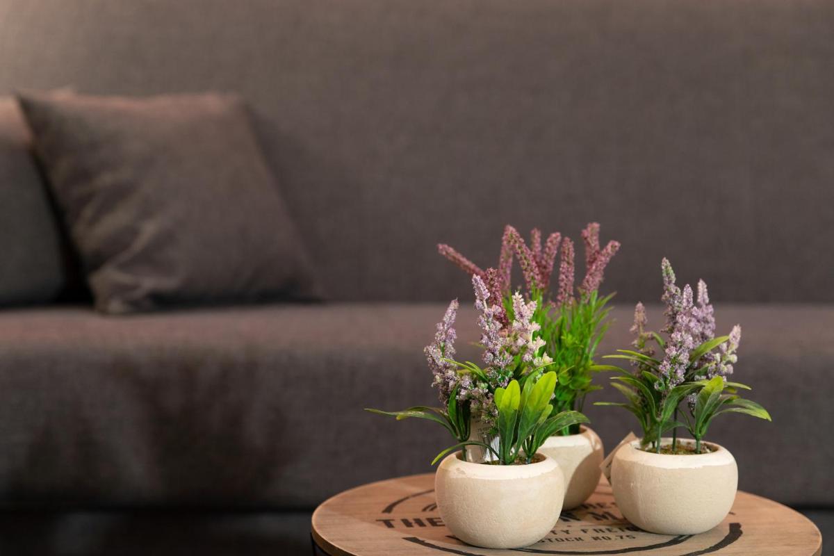 Ariadne Cozy Beautiful Studio - Housity