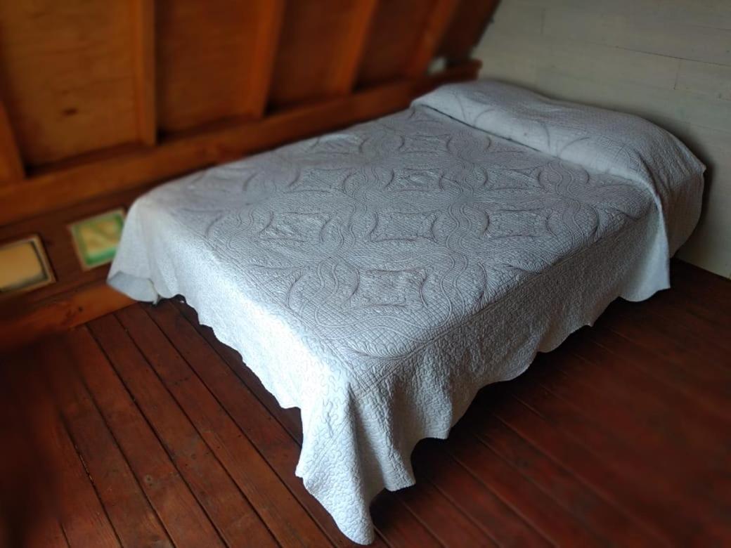 Chalets en Santa Elena en medio del Bosque - Housity