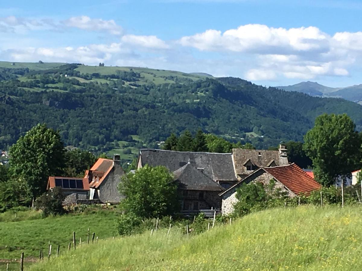 La cavalièra - Hizvo