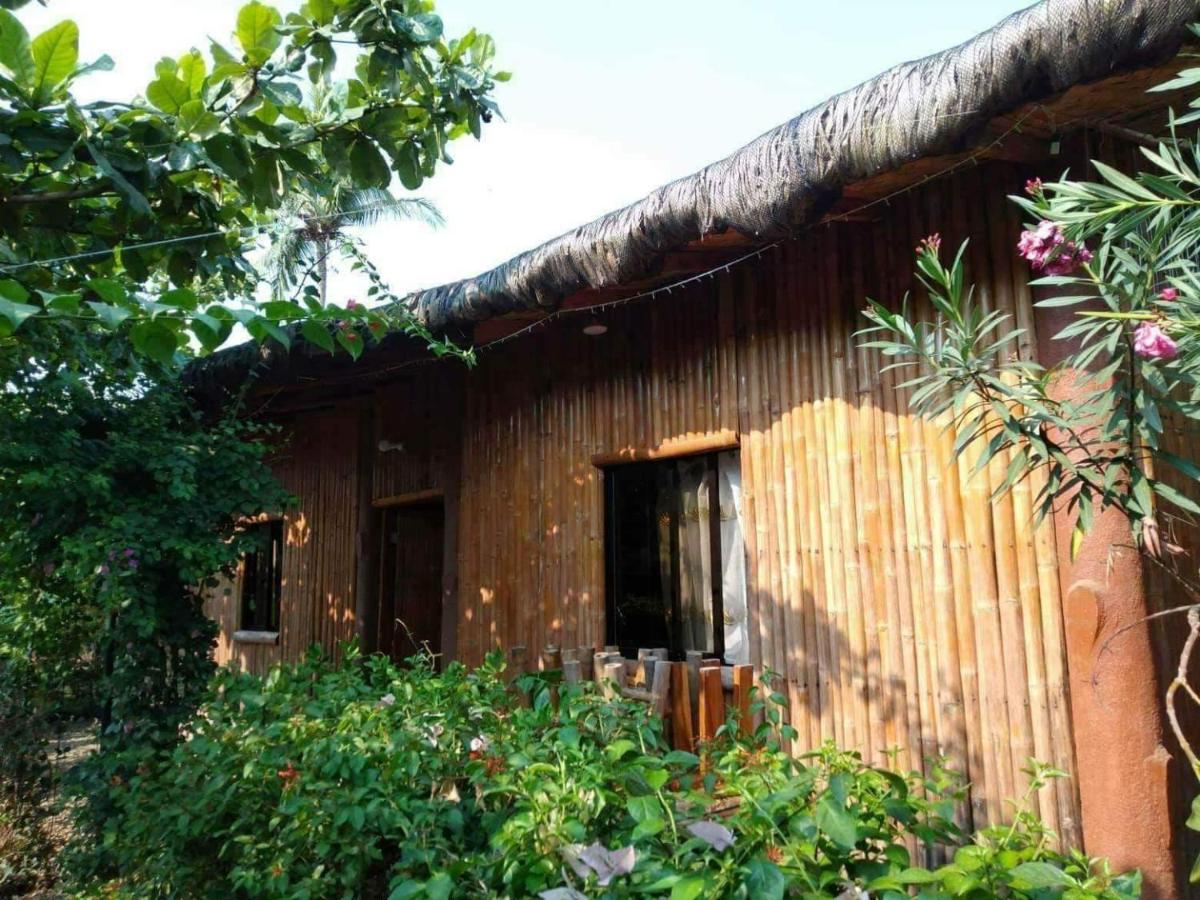 Calayo Beach Resort - Housity