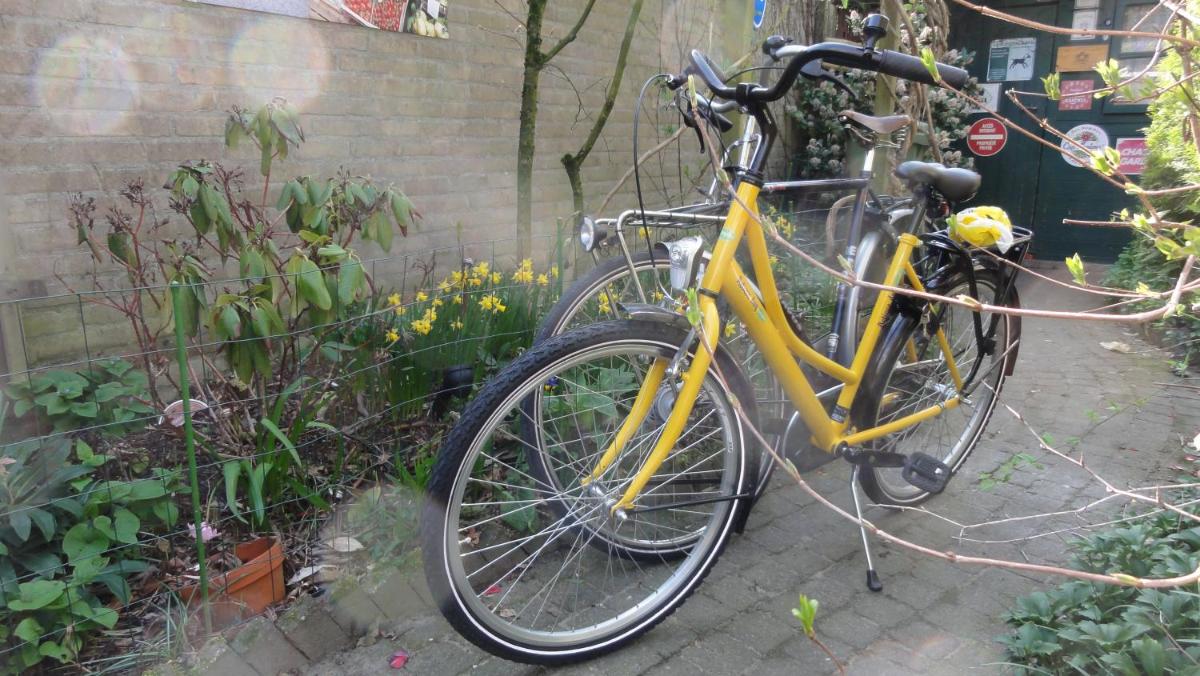 B&B Aan het Park Eindhoven - Housity