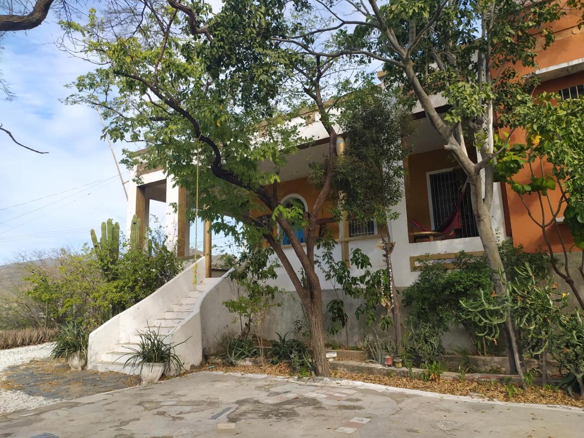 Jardin Etnobotanico Villa Ludovica - Housity