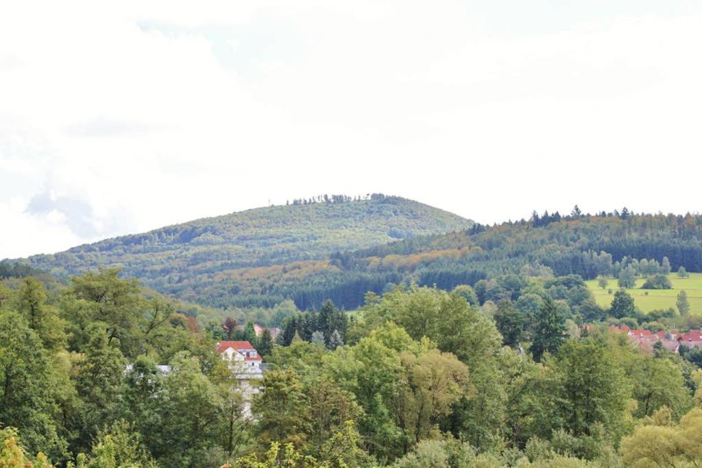 Schöne Ferienwohnung am Schlosspark - Housity