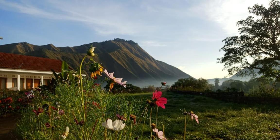 Rinjani Hill Hotel - Housity