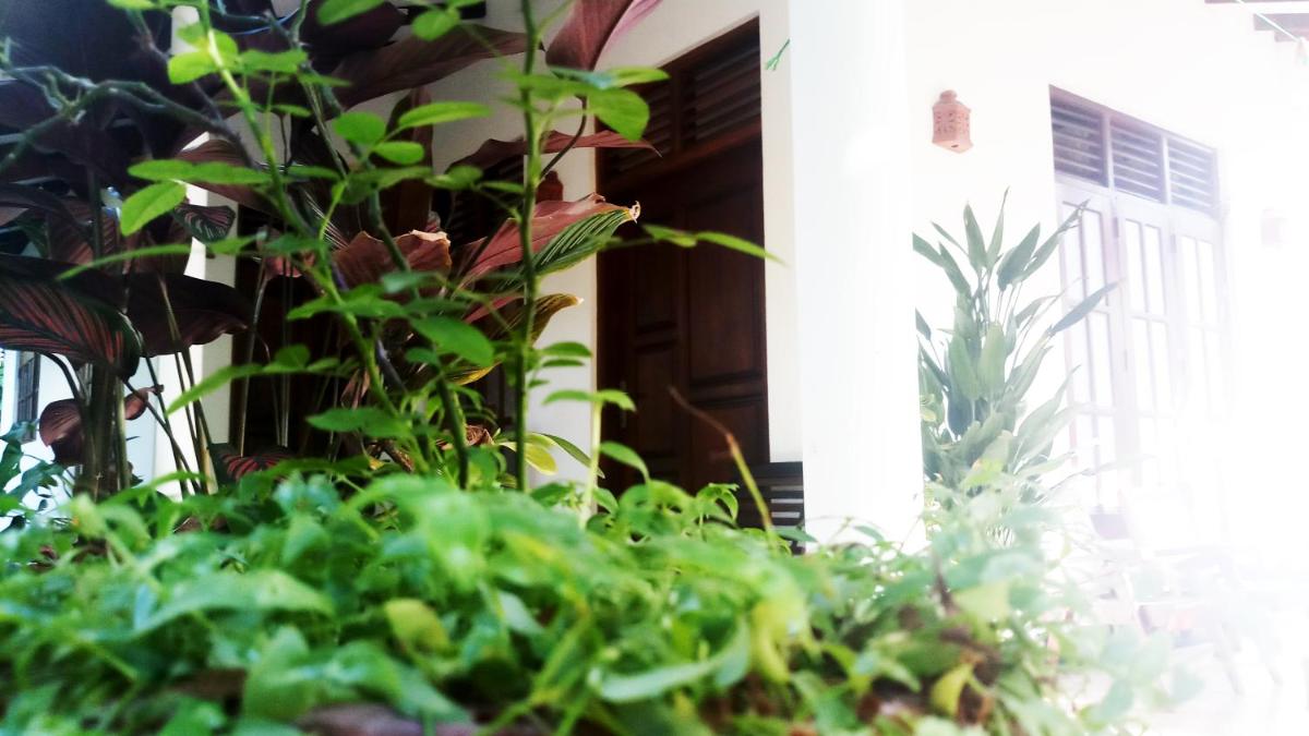 Eagle Homestay - Housity