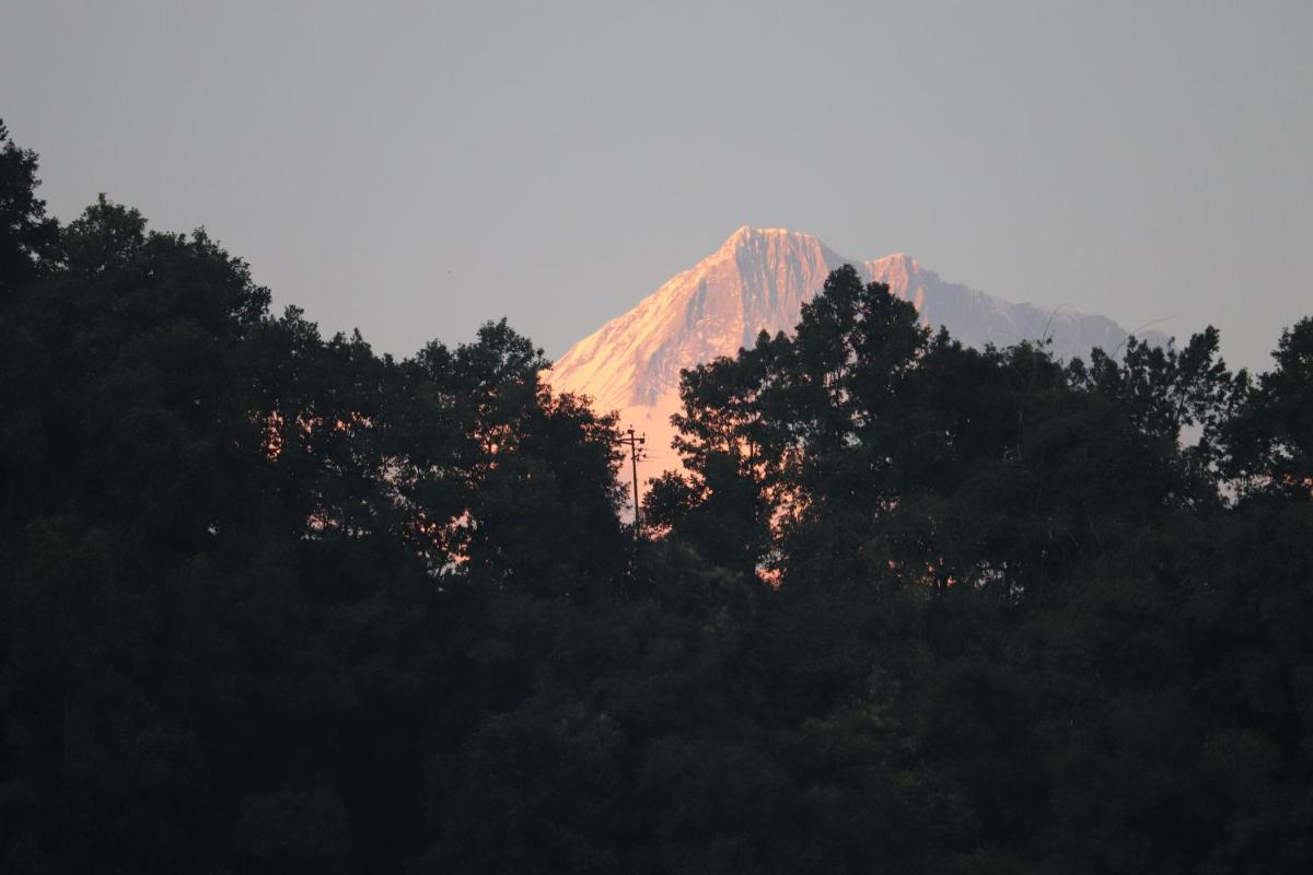 Hotel Young's Stupa - Housity