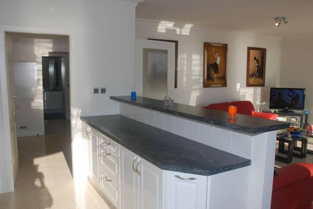 Royal Palm - Housity