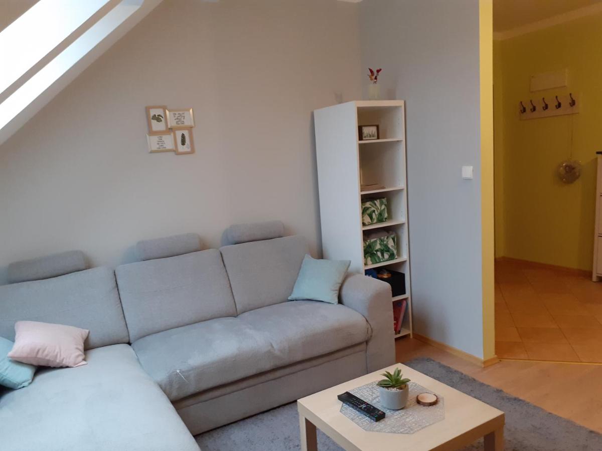 Apartament Kaktus - Housity