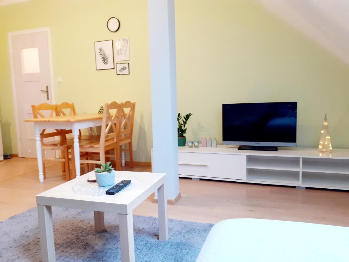 Apartament Kaktus - Housity