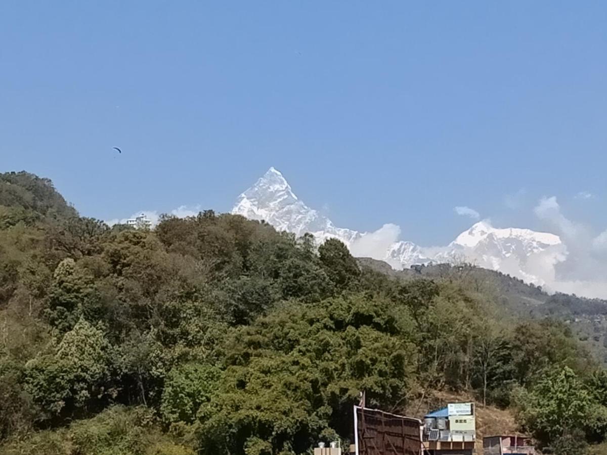 Hotel Nana Pokhara - Housity
