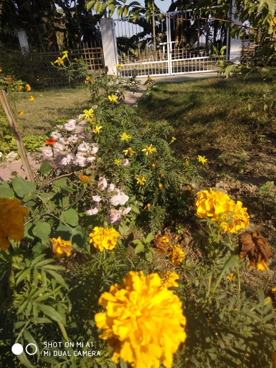 Suitetrails - 