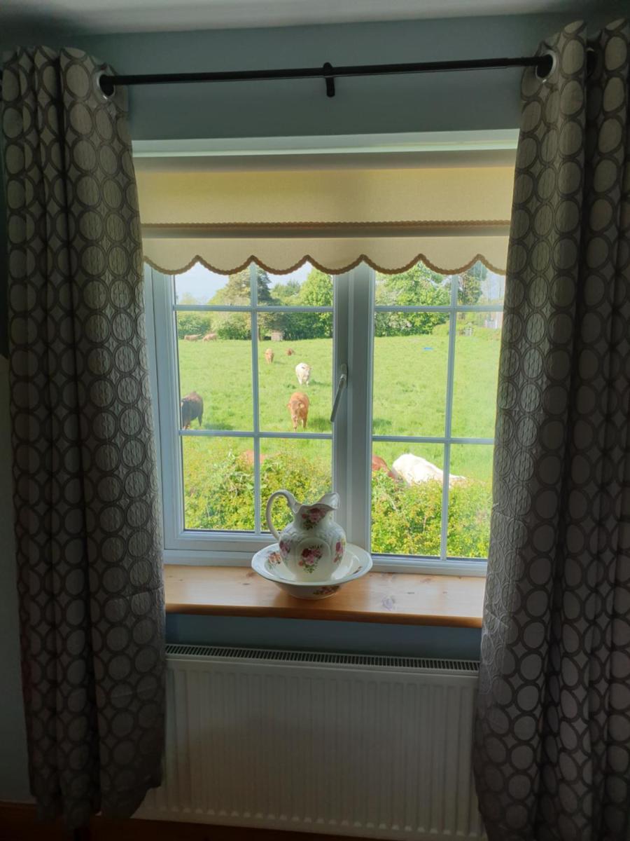 Nellies Cottage B&B - Housity