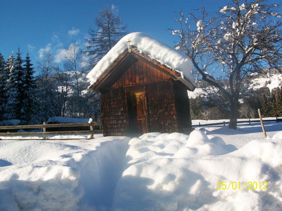 Mitterhaidgut - Housity