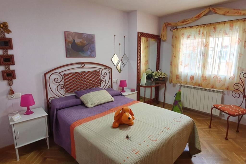 COQUETO - Hizvo