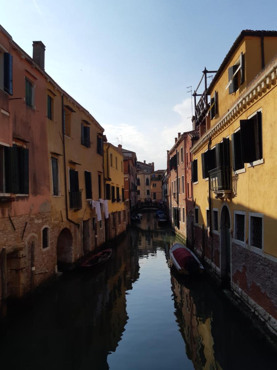 Suitetrails - gondola show
