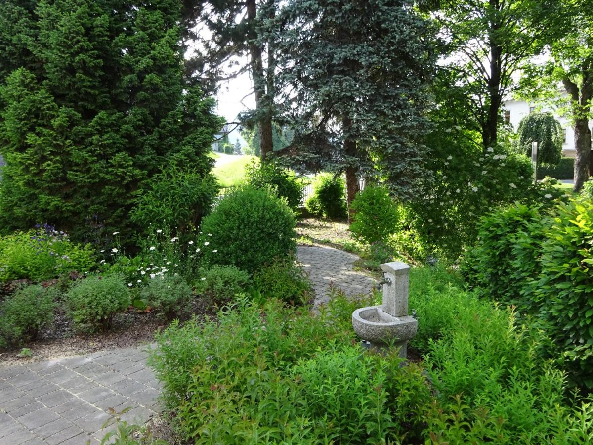 Wulfenia Apartments - Hizvo