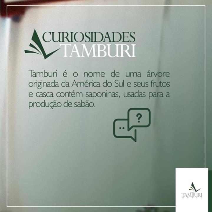 Hotel Novo Tamburi - Housity