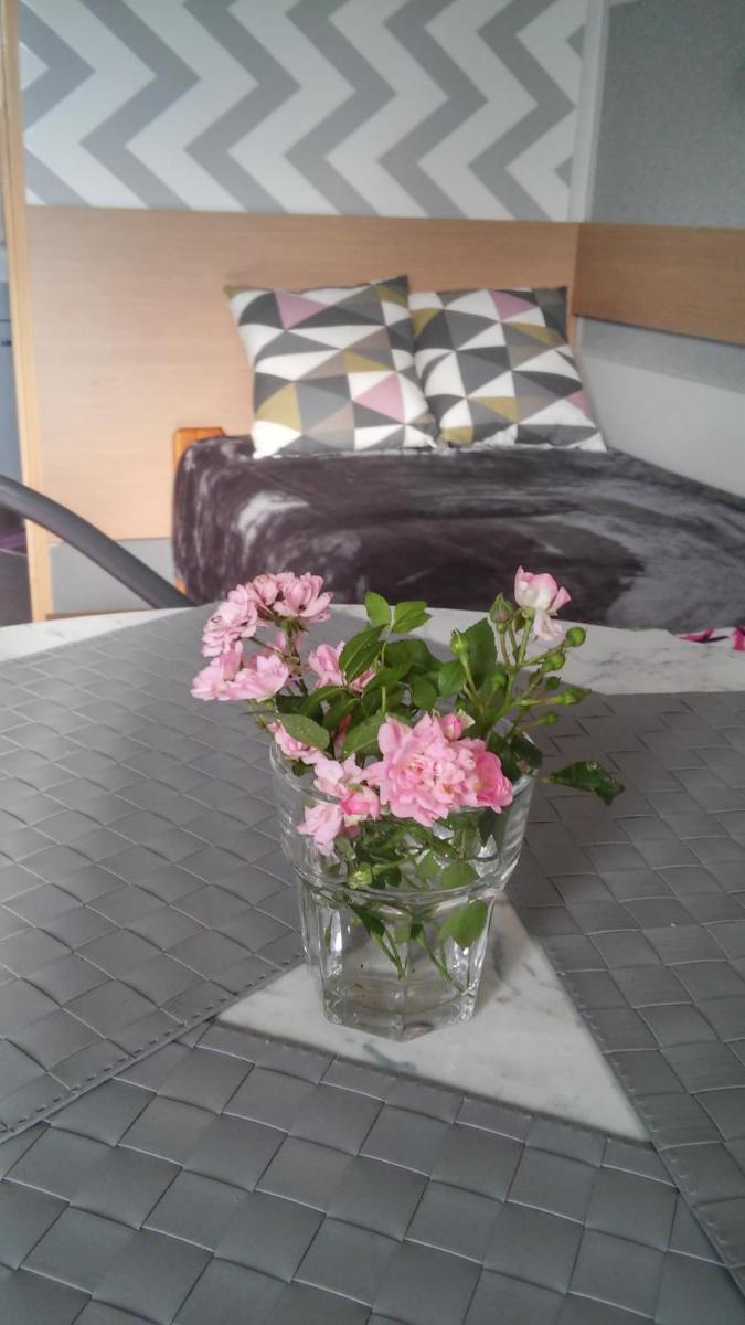 Noclegi Zacisze - Housity