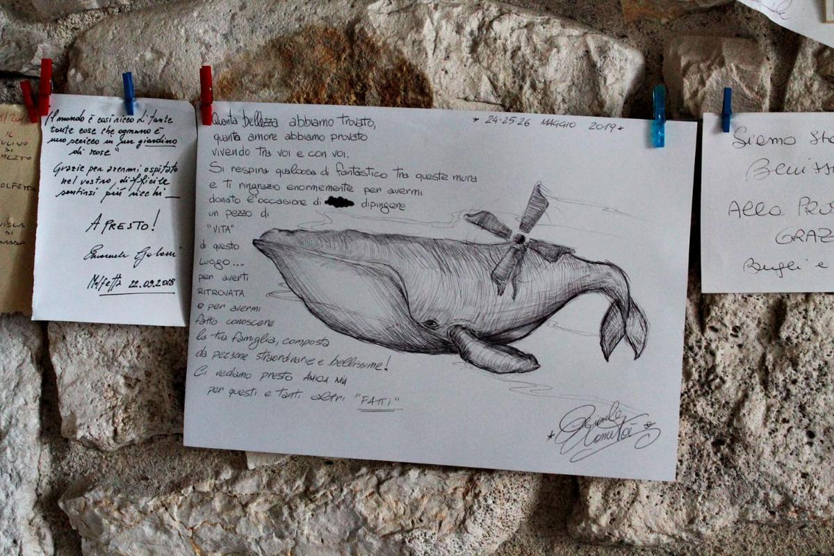 Il Mulino di Amleto - Bed and Breakfast letterario - Housity