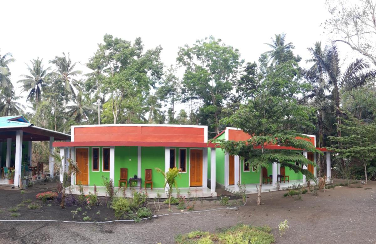 Birdhouse Homestay Tangkoko new rooms - Housity