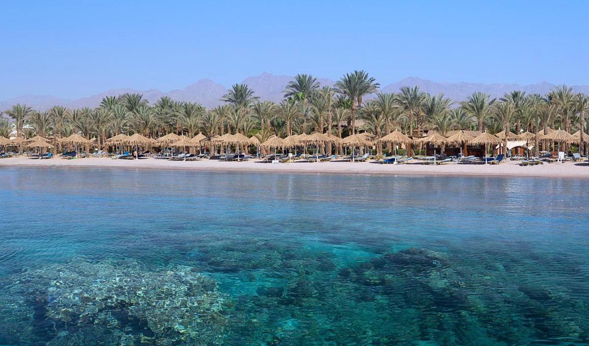Sharm Dreams Vacation Club - Aqua Park - Housity