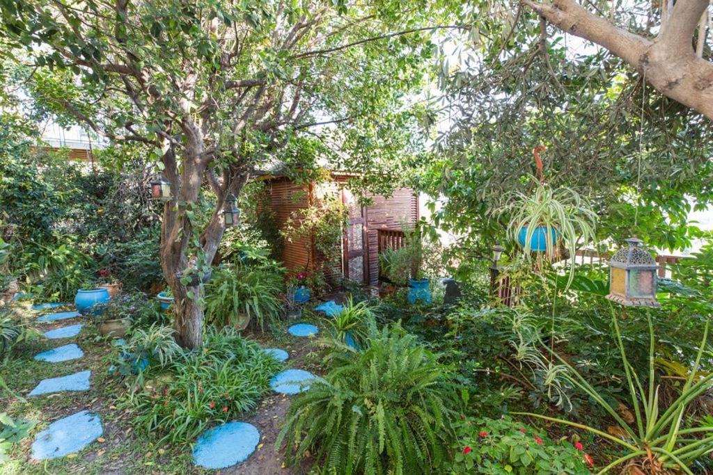 Havaya Ba Nof Lodge - Housity