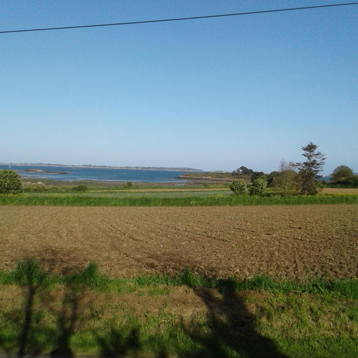 Tiny house sur la Presqu'île Sauvage - Housity