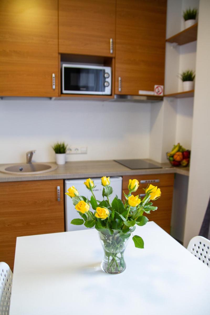Sky Studio near the Vilnius Center - Housity