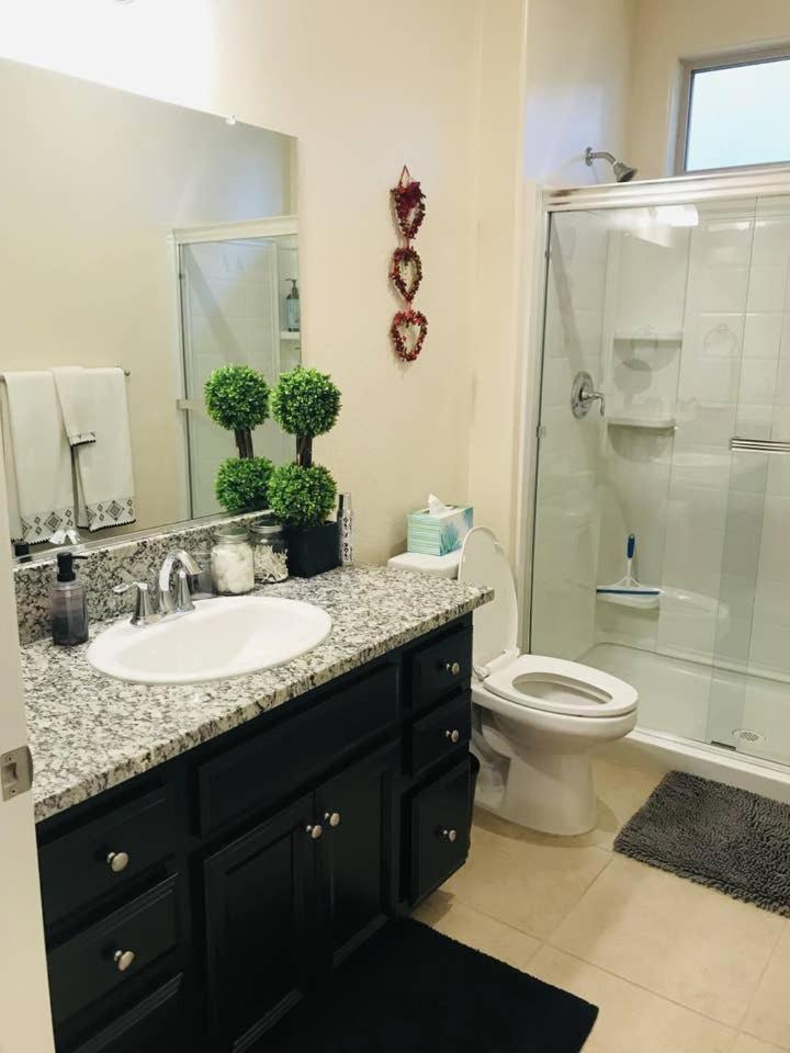 Camelot Sweet Suite - Housity