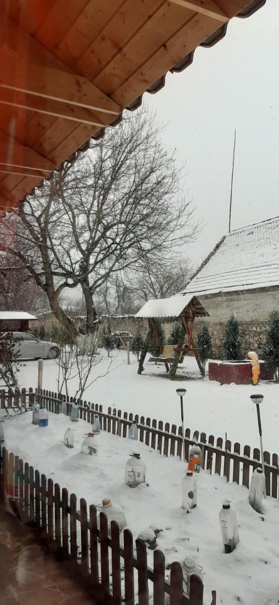 Casa Doboş - Housity