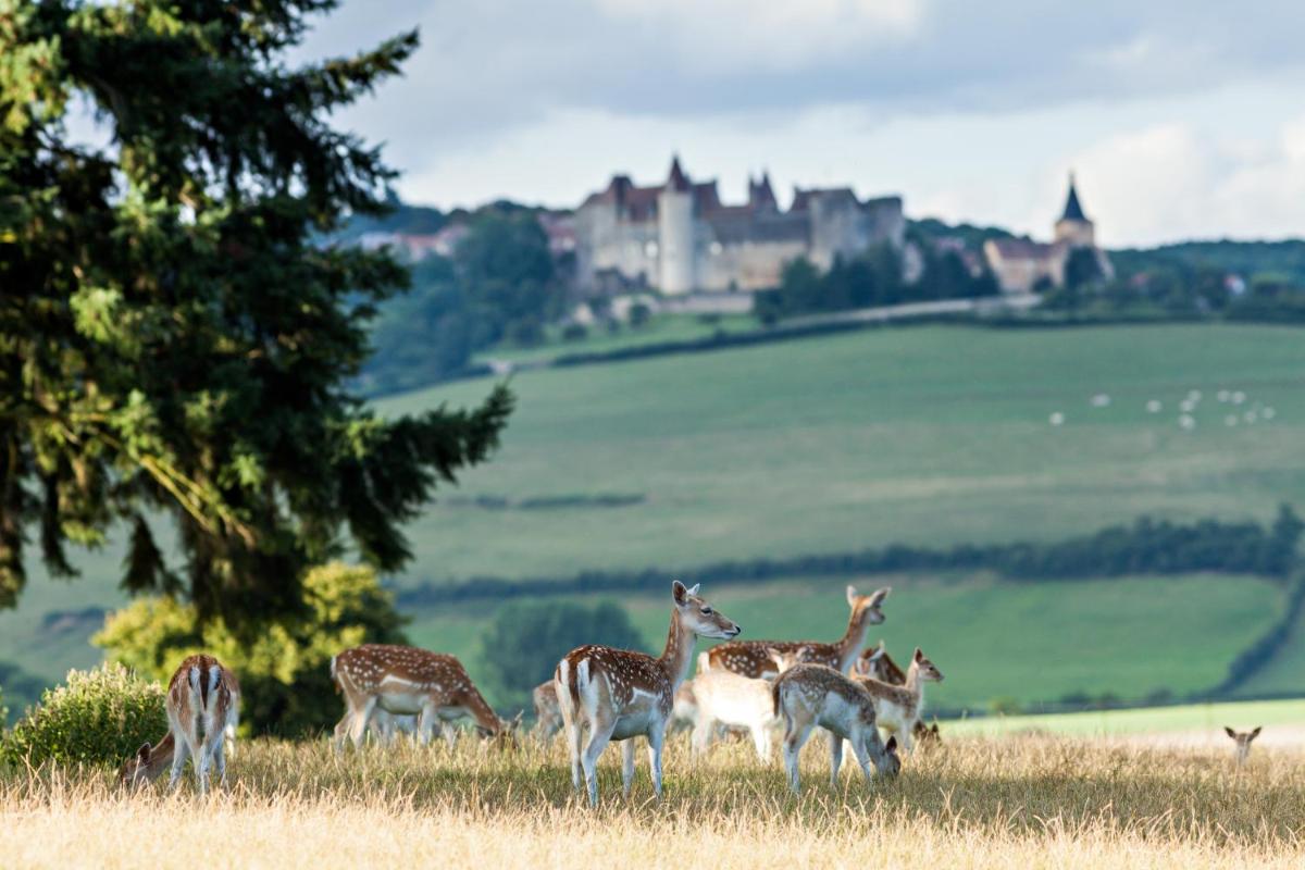 Animaux dans l'hôtel ou à proximité