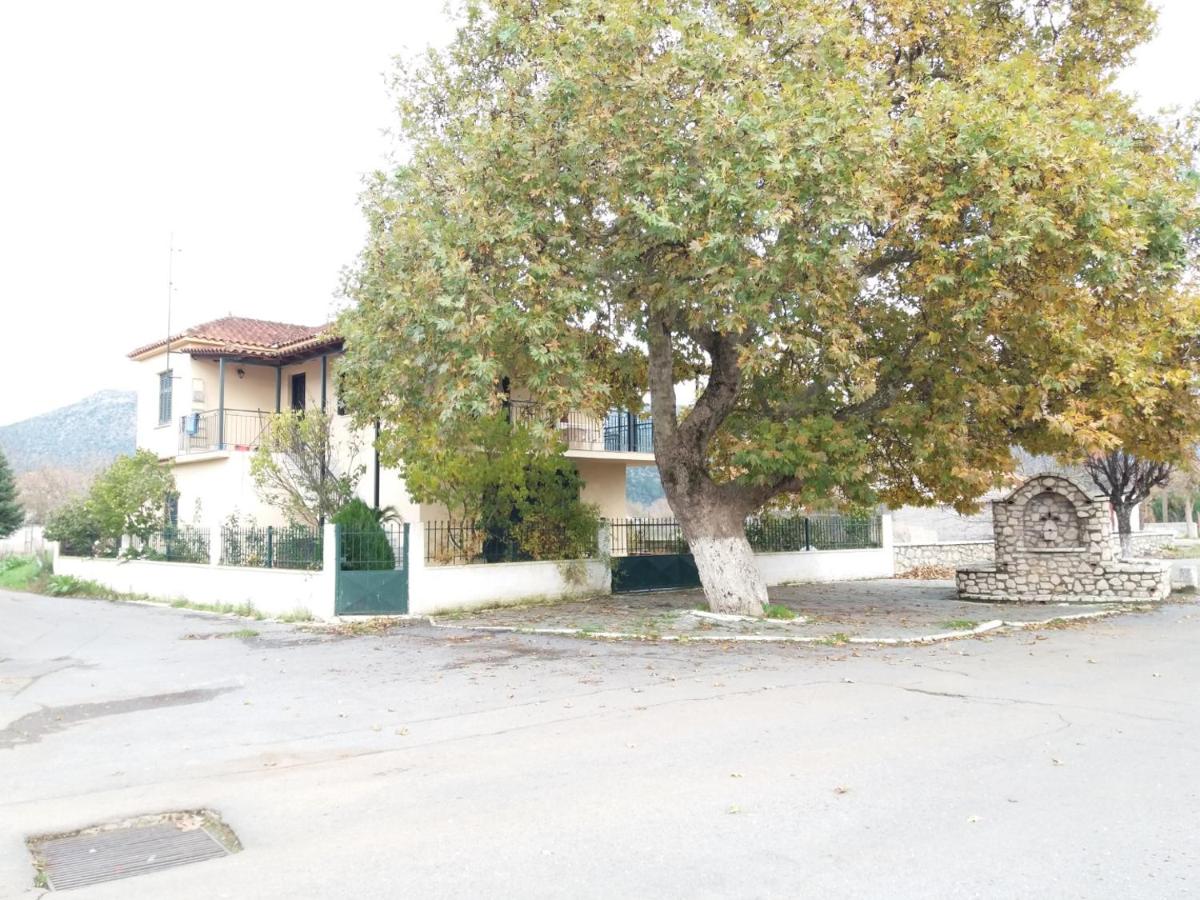 Galini - Housity