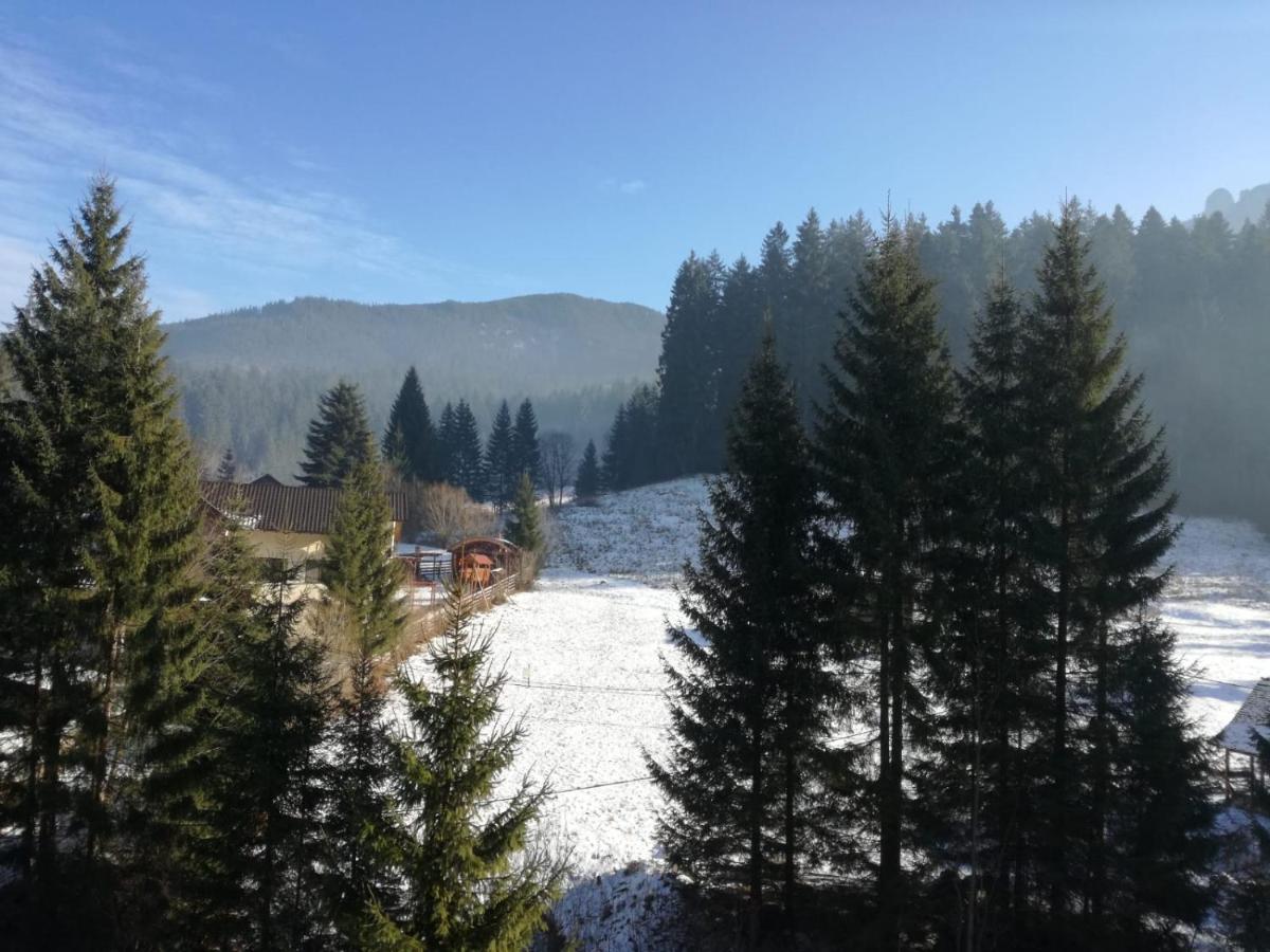 apartament Durau - Housity